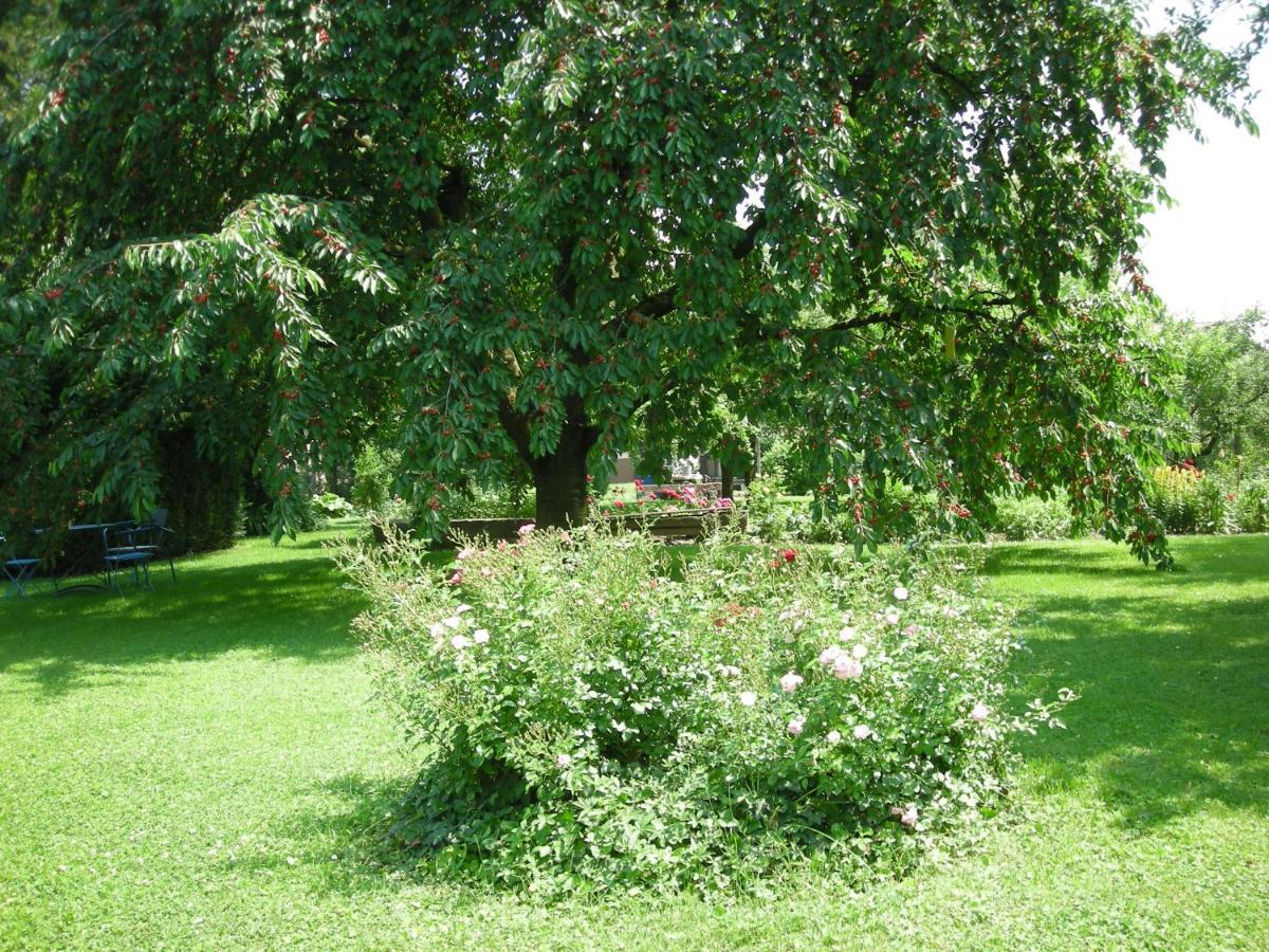 Chambre D'Hote Chez Lulu Saasenheim Exteriör bild